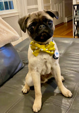Load image into Gallery viewer, Bow/Bowtie for Dog Collar